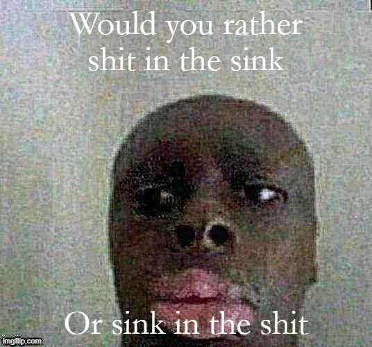 cv | Would you rather shit in the sink; Or sink in the shit | made w/ Imgflip meme maker