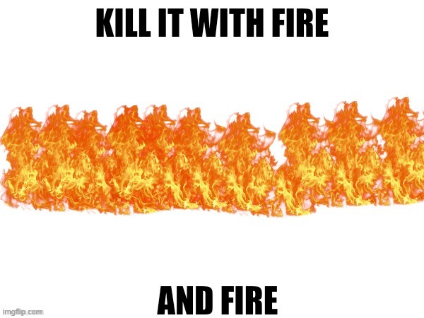 Kill it with fire | image tagged in kill it with fire | made w/ Imgflip meme maker