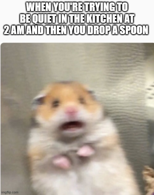 horrifying | WHEN YOU'RE TRYING TO BE QUIET IN THE KITCHEN AT 2 AM AND THEN YOU DROP A SPOON | image tagged in paniked hamster,oh no,memes,so true memes,for real,hamster | made w/ Imgflip meme maker