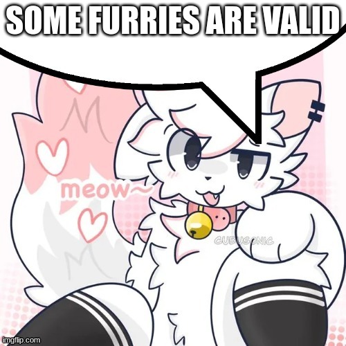 definitely a weird way to put it... anyways | SOME FURRIES ARE VALID | image tagged in femboy boykisser speech bubble,furry,boykisser | made w/ Imgflip meme maker