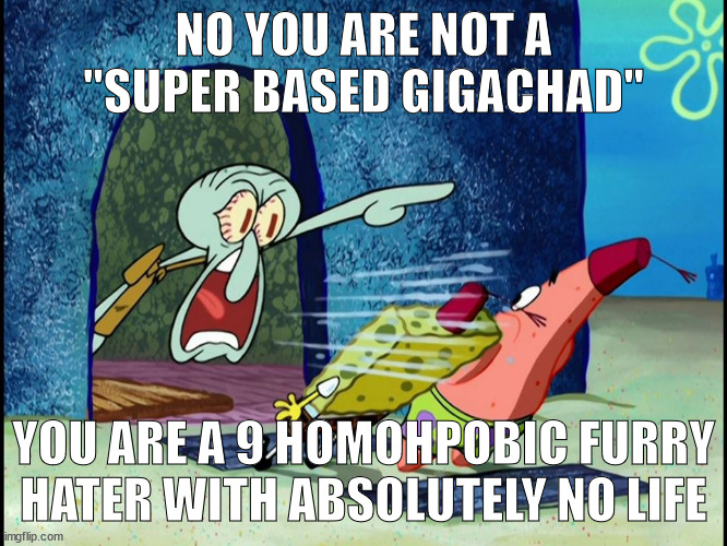Squidward Screaming | NO YOU ARE NOT A "SUPER BASED GIGACHAD"; YOU ARE A 9 HOMOHPOBIC FURRY HATER WITH ABSOLUTELY NO LIFE | image tagged in squidward screaming | made w/ Imgflip meme maker