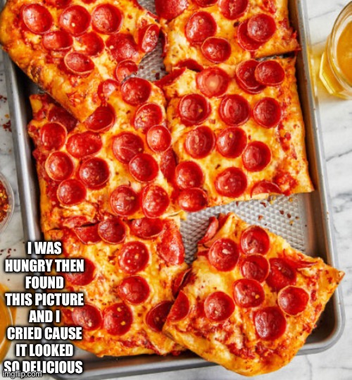 Pizza the divine god | I WAS HUNGRY THEN FOUND THIS PICTURE AND I CRIED CAUSE IT LOOKED SO DELICIOUS | image tagged in food,pizza,hungry | made w/ Imgflip meme maker