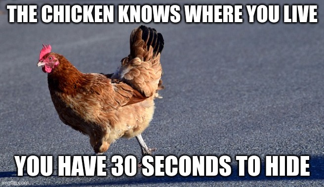THE CHICKEN KNOWS WHERE YOU LIVE YOU HAVE 30 SECONDS TO HIDE | made w/ Imgflip meme maker