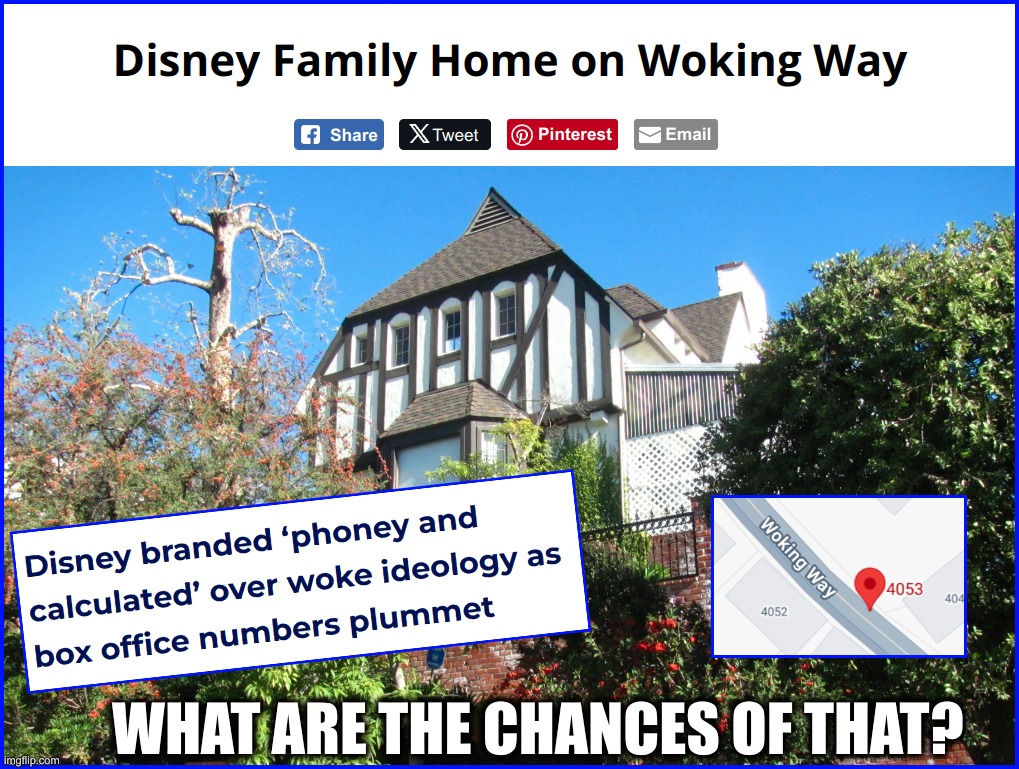The Disney Woking Way | WHAT ARE THE CHANCES OF THAT? | image tagged in disney,woke | made w/ Imgflip meme maker