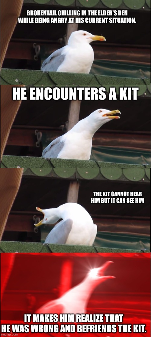 It's Snowkit by the way. (Warriors: Redemption AU) | BROKENTAIL CHILLING IN THE ELDER'S DEN WHILE BEING ANGRY AT HIS CURRENT SITUATION. HE ENCOUNTERS A KIT; THE KIT CANNOT HEAR HIM BUT IT CAN SEE HIM; IT MAKES HIM REALIZE THAT HE WAS WRONG AND BEFRIENDS THE KIT. | image tagged in memes,inhaling seagull | made w/ Imgflip meme maker