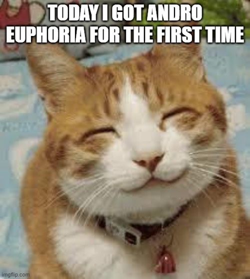 Happy cat | TODAY I GOT ANDRO EUPHORIA FOR THE FIRST TIME | image tagged in happy cat,egg_irl | made w/ Imgflip meme maker