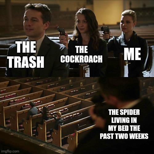 The bugger bites | THE TRASH; THE COCKROACH; ME; THE SPIDER LIVING IN MY BED THE PAST TWO WEEKS | image tagged in assassination chain,memes,funny,bugs,help me | made w/ Imgflip meme maker