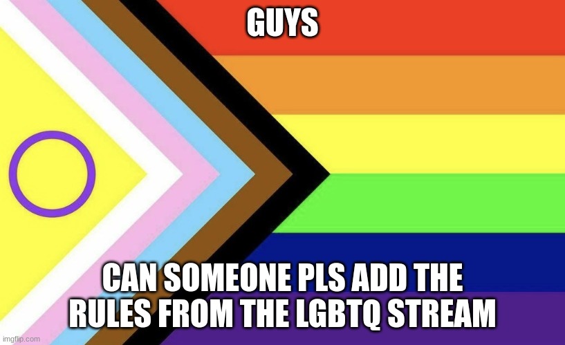 Progressive Flag | GUYS; CAN SOMEONE PLS ADD THE RULES FROM THE LGBTQ STREAM | image tagged in progressive flag | made w/ Imgflip meme maker