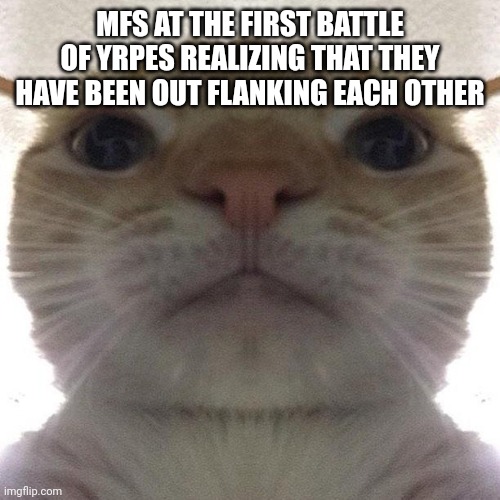 Staring Cat/Gusic | MFS AT THE FIRST BATTLE OF YRPES REALIZING THAT THEY HAVE BEEN OUT FLANKING EACH OTHER | image tagged in staring cat/gusic | made w/ Imgflip meme maker