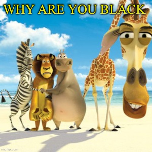 why are you white | WHY ARE YOU BLACK | image tagged in why are you white | made w/ Imgflip meme maker