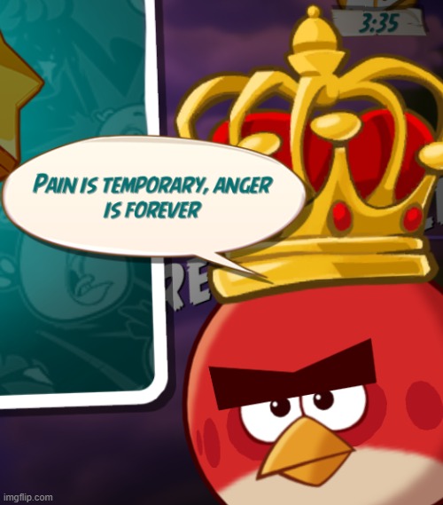 Pain is temporary, Anger is forever | image tagged in pain is temporary anger is forever | made w/ Imgflip meme maker