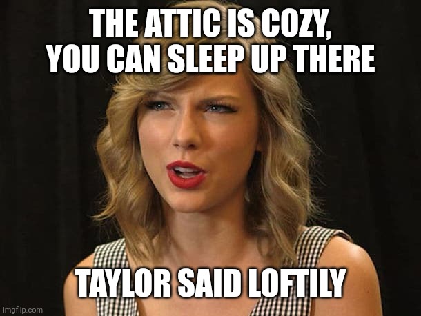 Taylor said loftily | THE ATTIC IS COZY, YOU CAN SLEEP UP THERE; TAYLOR SAID LOFTILY | image tagged in taylor swiftie | made w/ Imgflip meme maker