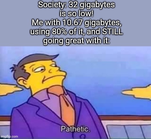 Ah yes, 10 gigabytes. | Society: 32 gigabytes
is so low!
Me with 10.67 gigabytes,
using 80% of it, and STILL
going great with it: | image tagged in skinner pathetic,storage | made w/ Imgflip meme maker