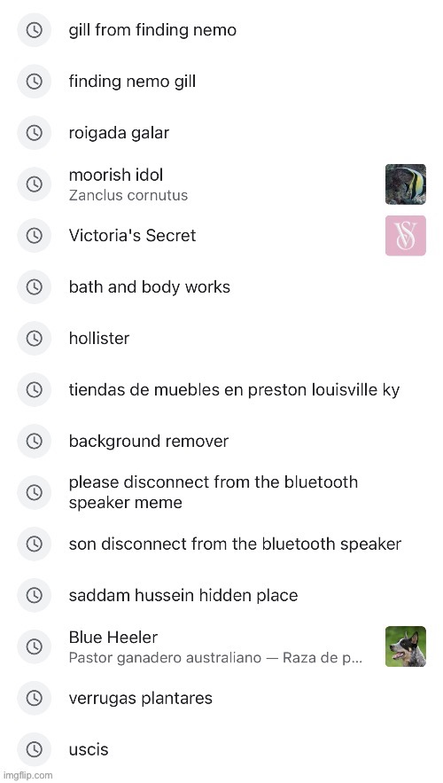 Search history reveal | made w/ Imgflip meme maker