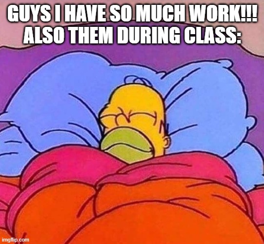 like wdym bro | GUYS I HAVE SO MUCH WORK!!!
ALSO THEM DURING CLASS: | image tagged in homer simpson sleeping peacefully,school | made w/ Imgflip meme maker