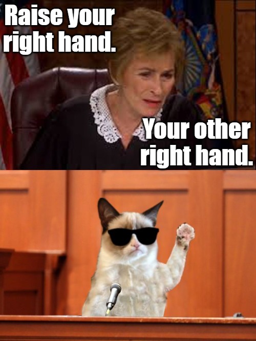 Raise your right hand. | Raise your right hand. Your other right hand. | image tagged in judge judy and the cat,lawyers,the truth | made w/ Imgflip meme maker