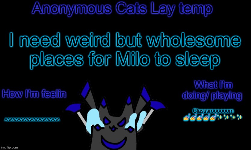 I hate school | I need weird but wholesome places for Milo to sleep; Classsroooooom 💅💅💅💅💅✨✨✨✨; AAAAAAAAAAAAAAAAAAAAA | image tagged in anonymous cats temp template | made w/ Imgflip meme maker