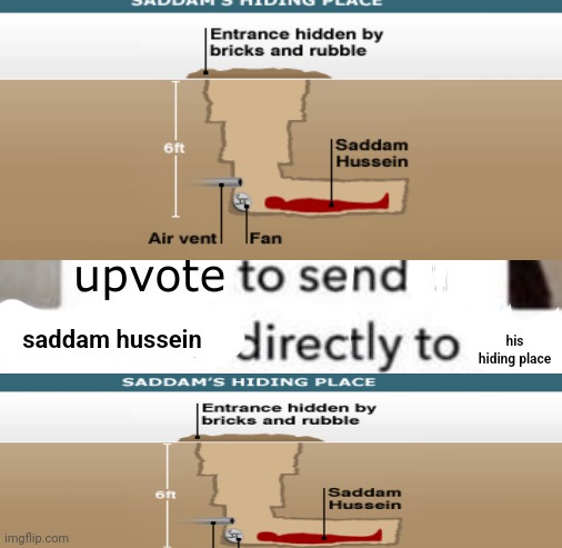 save him | his hiding place; saddam hussein | image tagged in upvote to send kindness directly to this cat | made w/ Imgflip meme maker