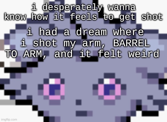 the gun in my closet lookin friendly | i desperately wanna know how it feels to get shot; i had a dream where i shot my arm, BARREL TO ARM, and it felt weird | image tagged in espurr dead inside | made w/ Imgflip meme maker