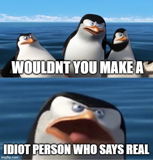 Wouldn't that make you | WOULDNT YOU MAKE A IDIOT PERSON WHO SAYS REAL | image tagged in wouldn't that make you | made w/ Imgflip meme maker