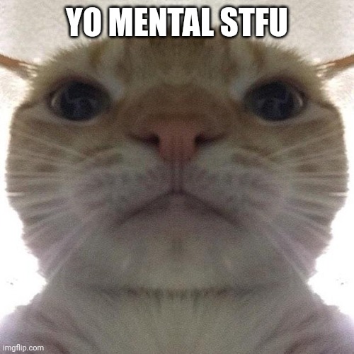 Staring Cat/Gusic | YO MENTAL STFU | image tagged in staring cat/gusic | made w/ Imgflip meme maker