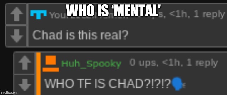 Chad is this real? | WHO IS ‘MENTAL’ | image tagged in chad is this real | made w/ Imgflip meme maker