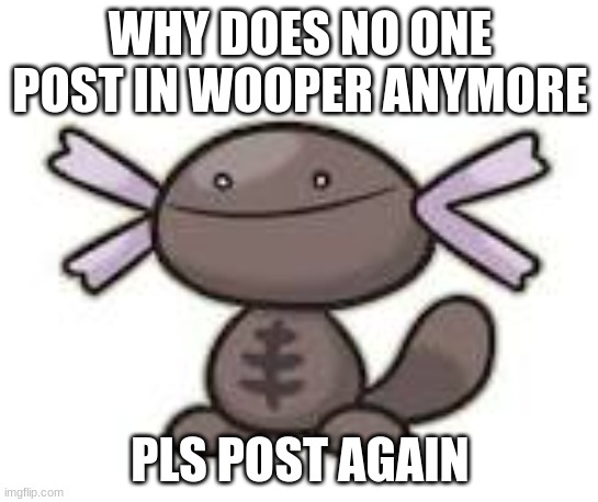 whyyyy | WHY DOES NO ONE POST IN WOOPER ANYMORE; PLS POST AGAIN | image tagged in paldean wooper | made w/ Imgflip meme maker