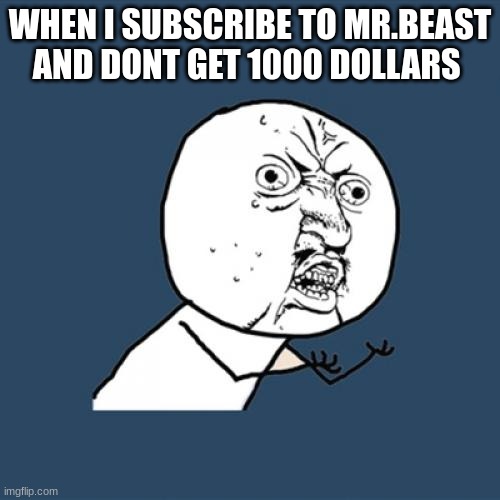 Y U No | WHEN I SUBSCRIBE TO MR.BEAST AND DONT GET 1000 DOLLARS | image tagged in memes,y u no | made w/ Imgflip meme maker