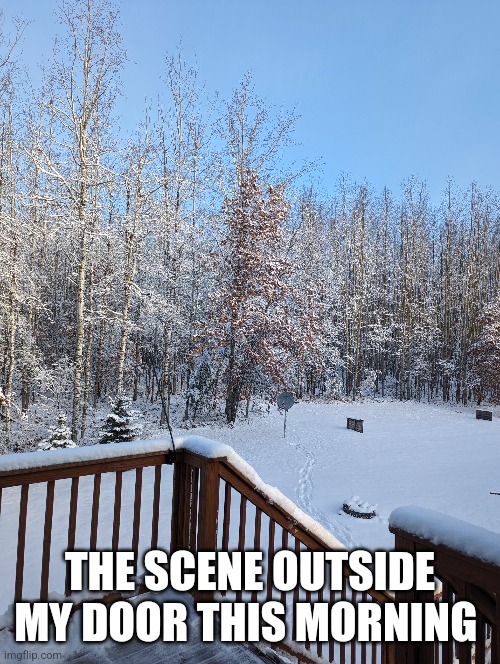 THE SCENE OUTSIDE MY DOOR THIS MORNING | image tagged in snow day | made w/ Imgflip meme maker