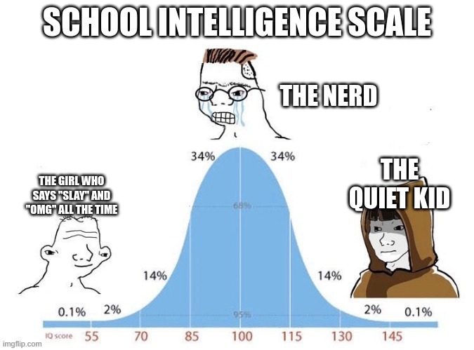 school be like | SCHOOL INTELLIGENCE SCALE; THE NERD; THE QUIET KID; THE GIRL WHO SAYS "SLAY" AND "OMG" ALL THE TIME | image tagged in bell curve,smart,school | made w/ Imgflip meme maker