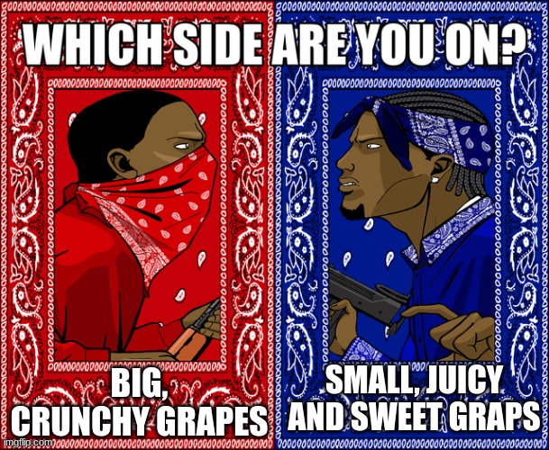 I am on the blue side, I love small juicy grapes because they are soo sweet | BIG, CRUNCHY GRAPES; SMALL, JUICY AND SWEET GRAPS | image tagged in which side are you on,grapes,oh wow are you actually reading these tags | made w/ Imgflip meme maker