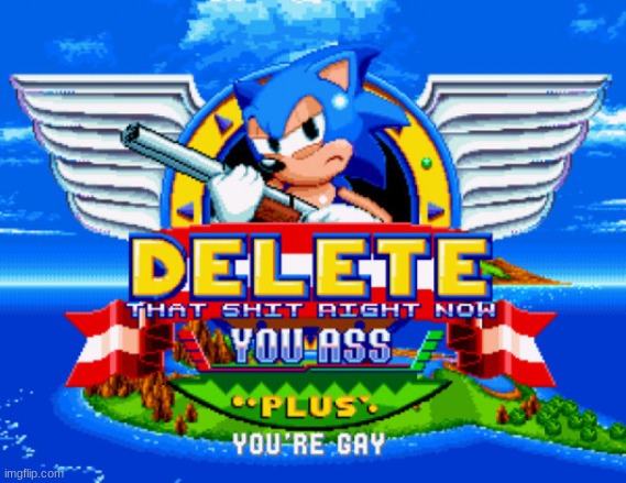 Sonic holding a shotgun to tell you to delete | image tagged in sonic holding a shotgun to tell you to delete | made w/ Imgflip meme maker