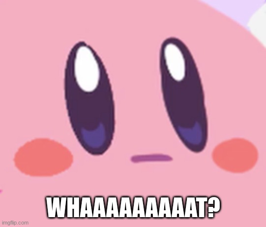 Blank Kirby Face | WHAAAAAAAAAT? | image tagged in blank kirby face | made w/ Imgflip meme maker