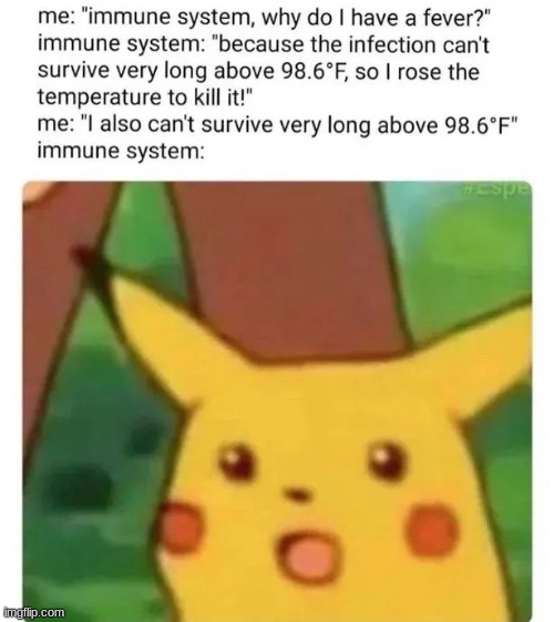 smh | image tagged in memes,funny | made w/ Imgflip meme maker