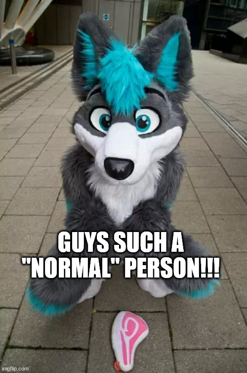 Furry | GUYS SUCH A "NORMAL" PERSON!!! | image tagged in furry | made w/ Imgflip meme maker