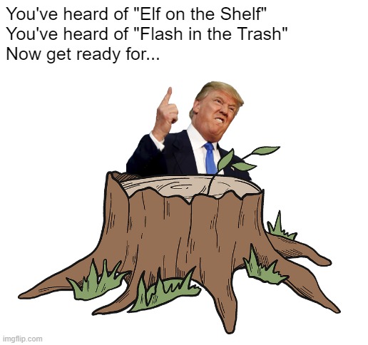trump in the stump | You've heard of "Elf on the Shelf"
You've heard of "Flash in the Trash"
Now get ready for... | image tagged in blank white template,you've heard of elf on the shelf,elf on the shelf,memes,funny memes | made w/ Imgflip meme maker