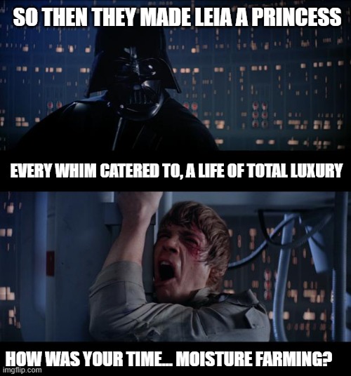 Shame Luke never learned about pocket sand | SO THEN THEY MADE LEIA A PRINCESS; EVERY WHIM CATERED TO, A LIFE OF TOTAL LUXURY; HOW WAS YOUR TIME... MOISTURE FARMING? | image tagged in memes,star wars no | made w/ Imgflip meme maker