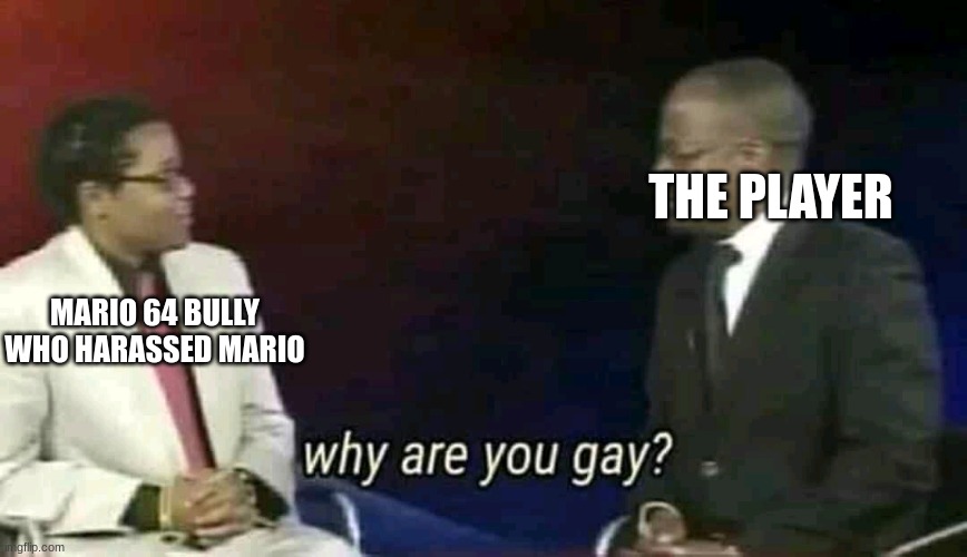 Why are you gay? | THE PLAYER; MARIO 64 BULLY WHO HARASSED MARIO | image tagged in why are you gay,super mario 64 | made w/ Imgflip meme maker