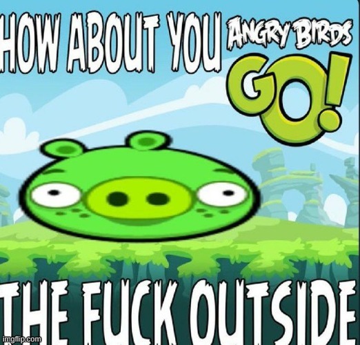 when someone says they're level 99 in fortnite: | image tagged in how about you angry birds go outside | made w/ Imgflip meme maker