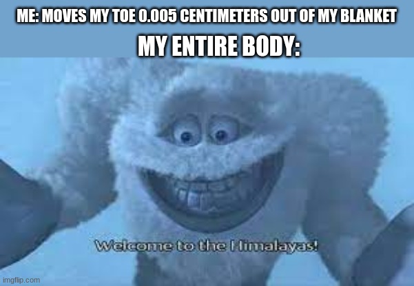 Happened to me too many times | ME: MOVES MY TOE 0.005 CENTIMETERS OUT OF MY BLANKET; MY ENTIRE BODY: | image tagged in welcome to the himalayas | made w/ Imgflip meme maker