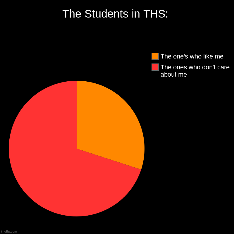 The Students in THS: | The ones who don't care about me, The one's who like me | image tagged in charts,pie charts | made w/ Imgflip chart maker