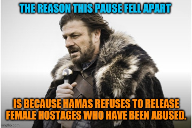 And we all know what that means. | THE REASON THIS PAUSE FELL APART; IS BECAUSE HAMAS REFUSES TO RELEASE FEMALE HOSTAGES WHO HAVE BEEN ABUSED. | image tagged in sean bean,hamas,female,hostage,assault | made w/ Imgflip meme maker