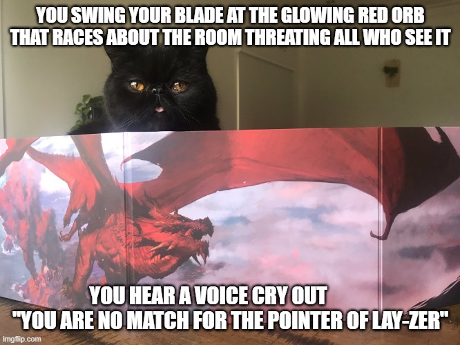 When your DM creates a horror campaign | YOU SWING YOUR BLADE AT THE GLOWING RED ORB THAT RACES ABOUT THE ROOM THREATING ALL WHO SEE IT; YOU HEAR A VOICE CRY OUT            "YOU ARE NO MATCH FOR THE POINTER OF LAY-ZER" | image tagged in dndcat | made w/ Imgflip meme maker