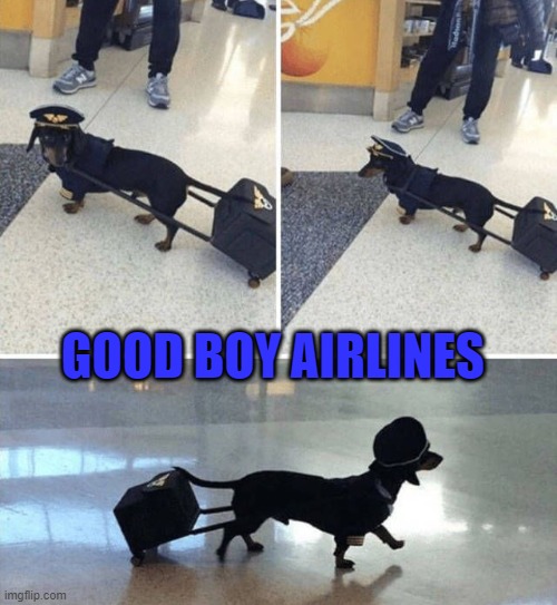 GOOD BOY AIRLINES Blank Meme Template