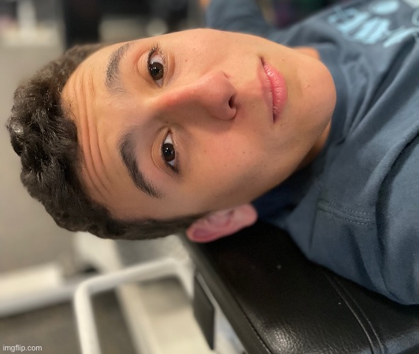 Looking majestic on the bench press | made w/ Imgflip meme maker