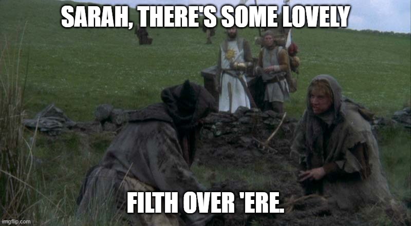 Lovely filth | SARAH, THERE'S SOME LOVELY; FILTH OVER 'ERE. | image tagged in lovely filth | made w/ Imgflip meme maker