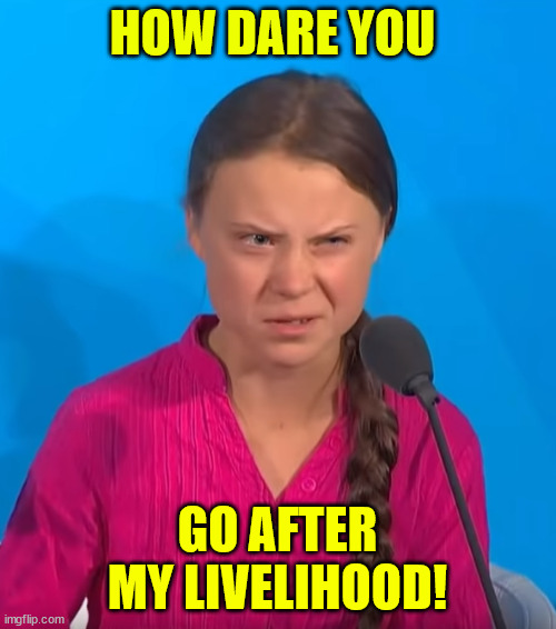 HOW DARE YOU | HOW DARE YOU GO AFTER MY LIVELIHOOD! | image tagged in how dare you | made w/ Imgflip meme maker