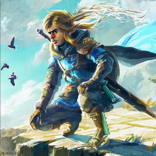 The New (and Best) Link | image tagged in funny,legend of zelda,link,fanart | made w/ Imgflip meme maker