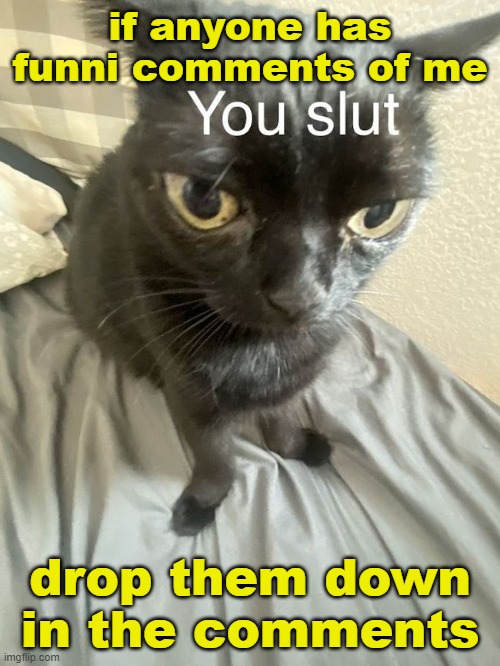 You slut | if anyone has funni comments of me; drop them down in the comments | image tagged in you slut | made w/ Imgflip meme maker