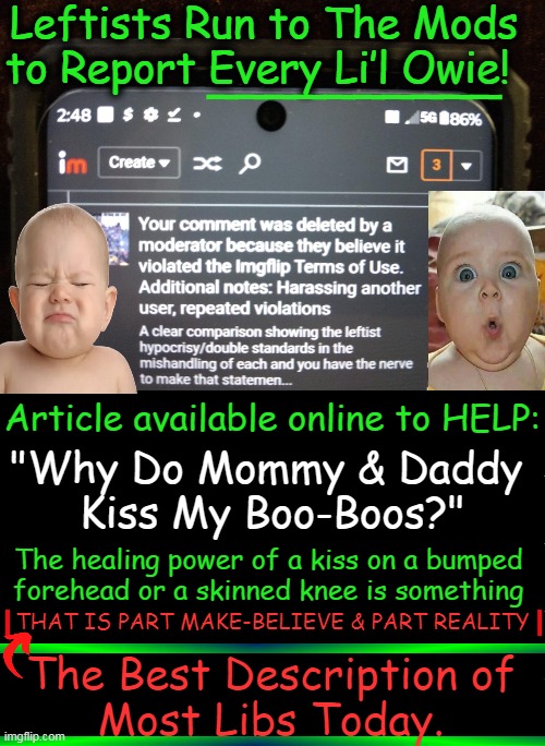 How Can These "Offended Victims" Function in The REAL WORLD? (I am in "time-out" for 2 days so can't comment.) | Leftists Run to The Mods 
to Report Every Li’l Owie! __________; Article available online to HELP:; "Why Do Mommy & Daddy 
Kiss My Boo-Boos?"; The healing power of a kiss on a bumped 
forehead or a skinned knee is something; THAT IS PART MAKE-BELIEVE & PART REALITY; The Best Description of 
Most Libs Today. | image tagged in liberals vs conservatives,offended,no offense,imgflip humor,political humor,alternate reality | made w/ Imgflip meme maker